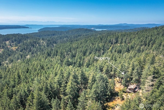 652 Hurricane Hill Rd, Orcas Island, WA 98280 - photo 39
