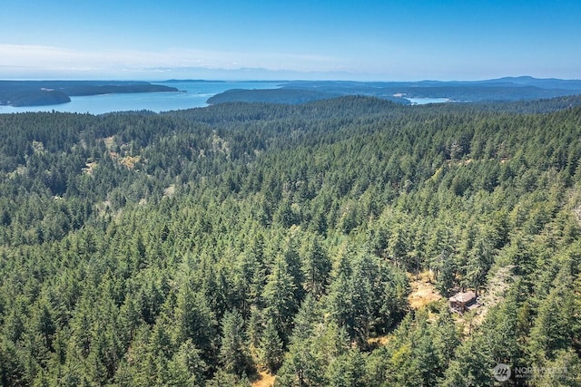 652 Hurricane Hill Rd, Orcas Island, WA 98280 - photo 40