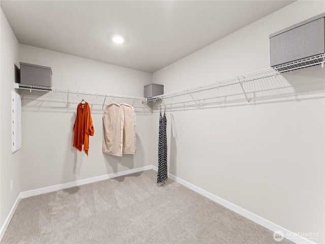 8302 114th Ave SE Unit 29, Newcastle, WA 98056 - spacious closet with carpet floors