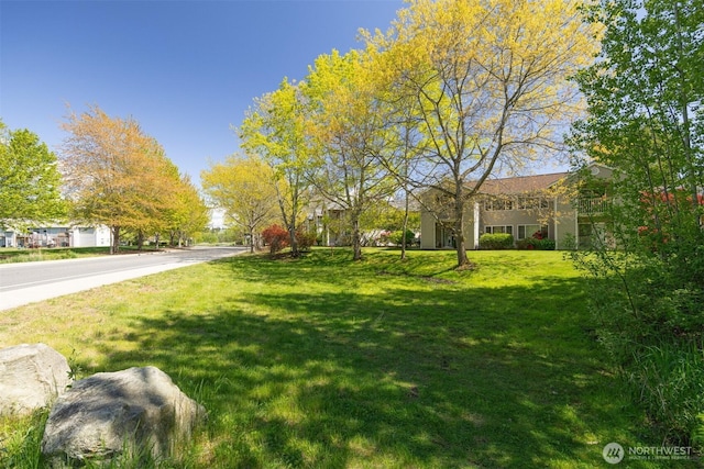 view of grassy yard