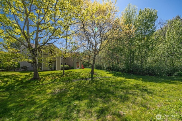 view of grassy yard