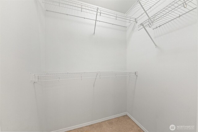spacious closet featuring light carpet