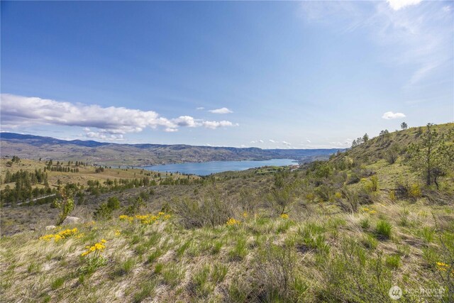 1 Bear Mountain Rd, Chelan, WA 98816