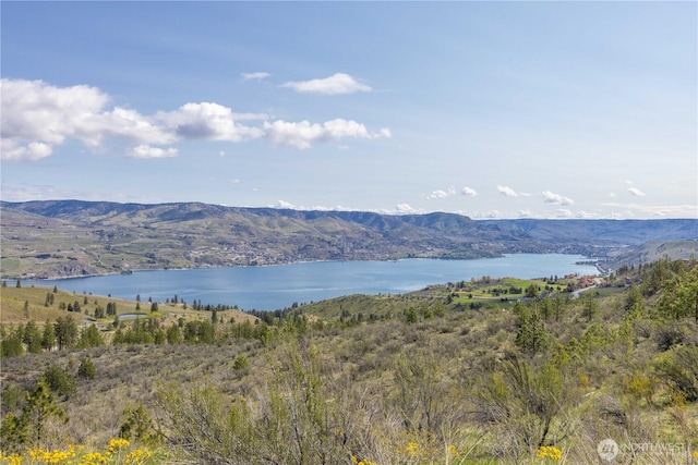 1 Bear Mountain Rd, Chelan, WA 98816