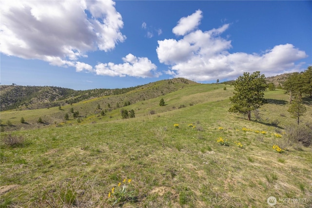 1 Bear Mountain Rd, Chelan, WA 98816