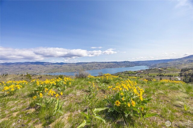 1 Bear Mountain Rd, Chelan, WA 98816