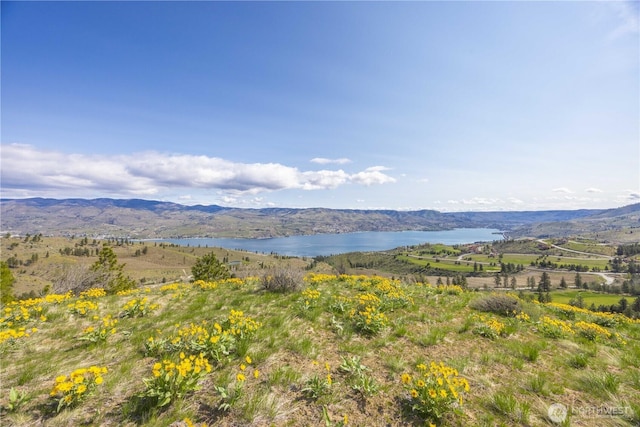 1 Bear Mountain Rd, Chelan, WA 98816