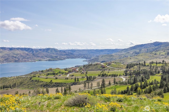 1 Bear Mountain Rd, Chelan, WA 98816