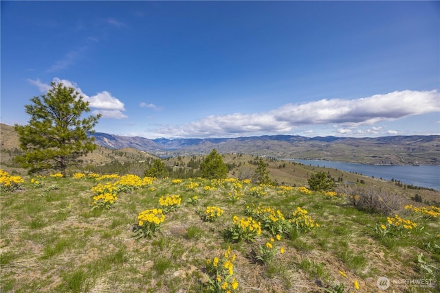 1 Bear Mountain Rd, Chelan, WA 98816