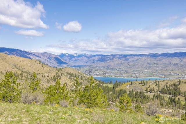 1 Bear Mountain Rd, Chelan, WA 98816