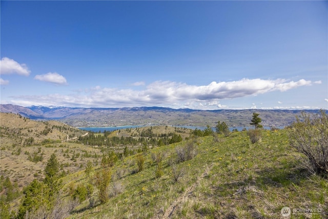 1 Bear Mountain Rd, Chelan, WA 98816