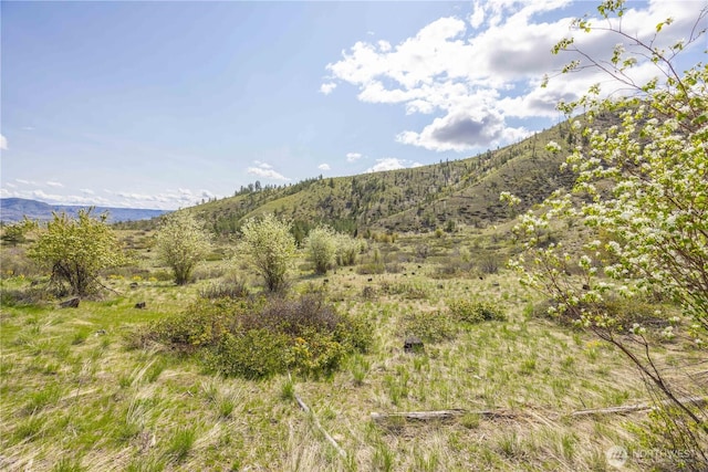 1 Bear Mountain Rd, Chelan, WA 98816