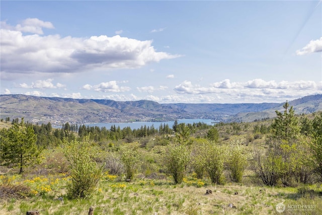 1 Bear Mountain Rd, Chelan, WA 98816