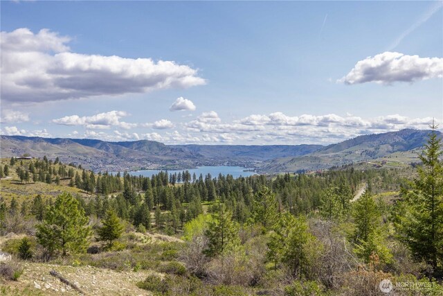 1 Bear Mountain Rd, Chelan, WA 98816