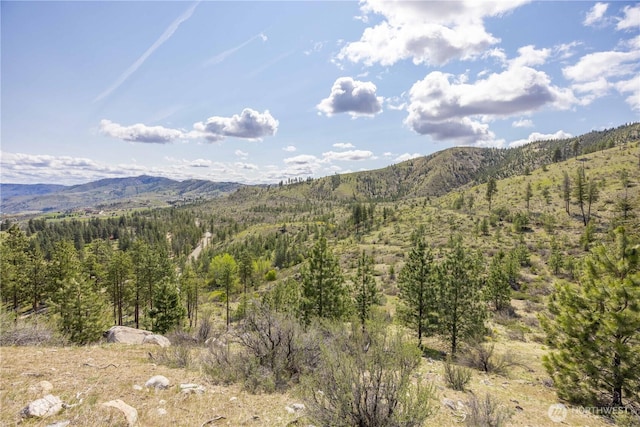 1 Bear Mountain Rd, Chelan, WA 98816