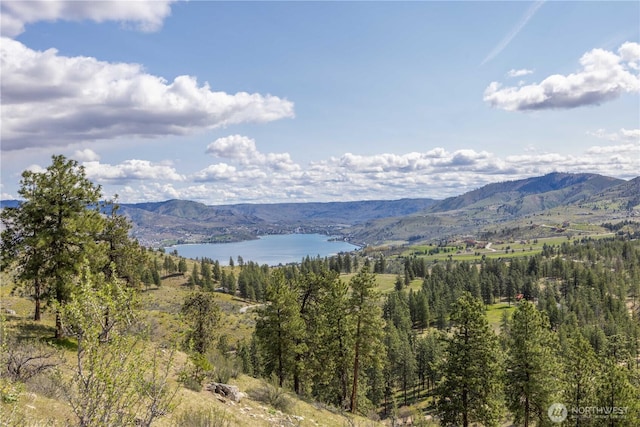 1 Bear Mountain Rd, Chelan, WA 98816
