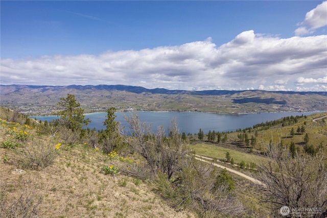 1 Bear Mountain Rd, Chelan, WA 98816