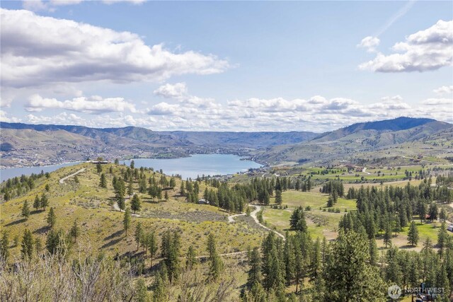 1 Bear Mountain Rd, Chelan, WA 98816