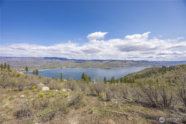 1 Bear Mountain Rd, Chelan, WA 98816