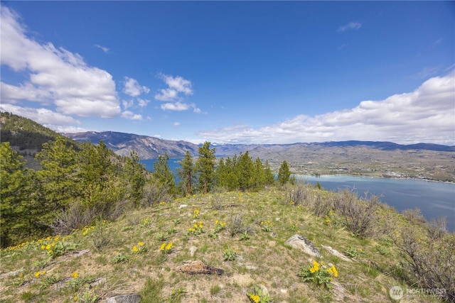 1 Bear Mountain Rd, Chelan, WA 98816