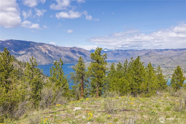 1 Bear Mountain Rd, Chelan, WA 98816