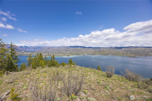 1 Bear Mountain Rd, Chelan, WA 98816