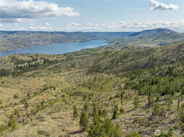 1 Bear Mountain Rd, Chelan, WA 98816