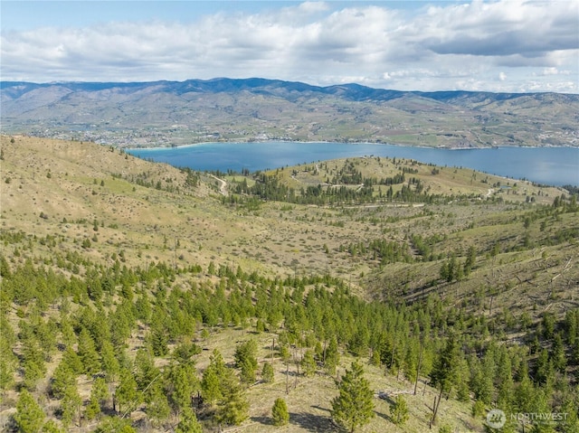 1 Bear Mountain Rd, Chelan, WA 98816