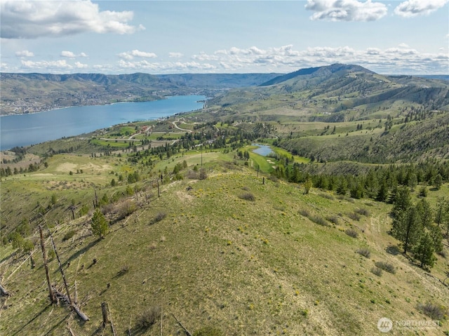 1 Bear Mountain Rd, Chelan, WA 98816