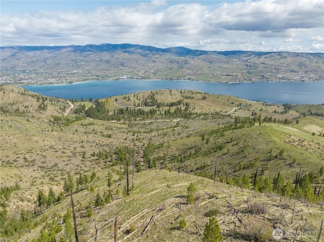 1 Bear Mountain Rd, Chelan, WA 98816