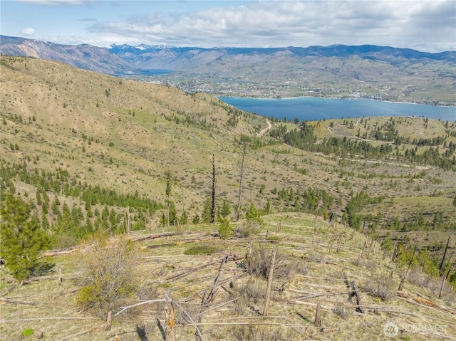 1 Bear Mountain Rd, Chelan, WA 98816