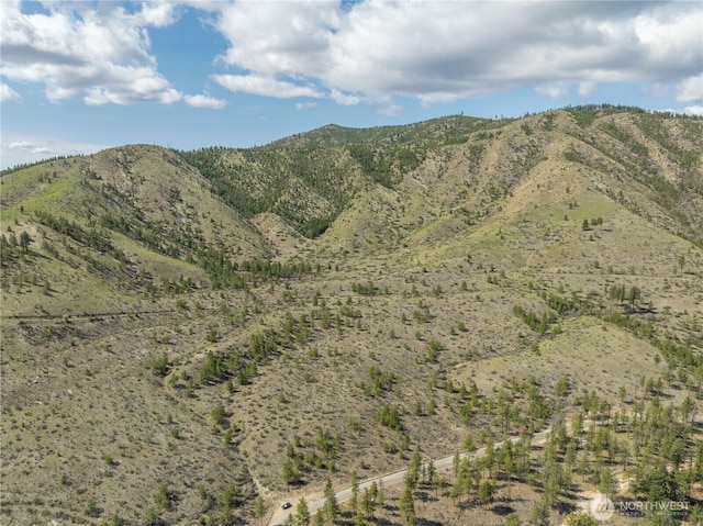 1 Bear Mountain Rd, Chelan, WA 98816
