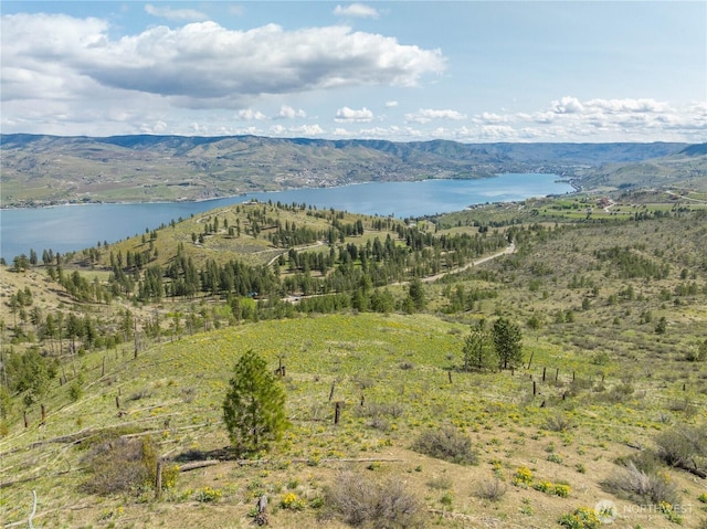 1 Bear Mountain Rd, Chelan, WA 98816