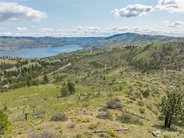 1 Bear Mountain Rd, Chelan, WA 98816