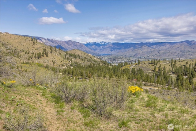 1 Bear Mountain Rd, Chelan, WA 98816