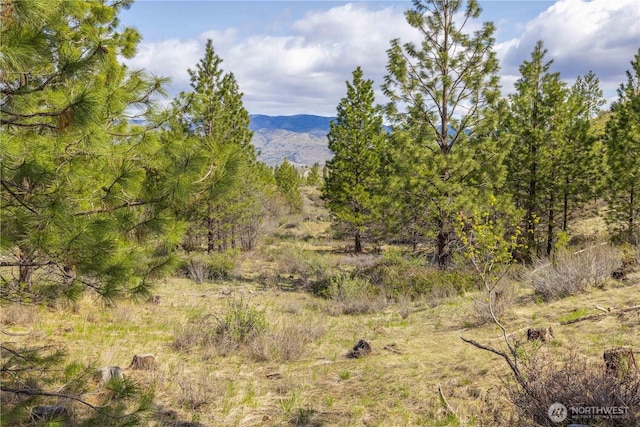 1 Bear Mountain Rd, Chelan, WA 98816