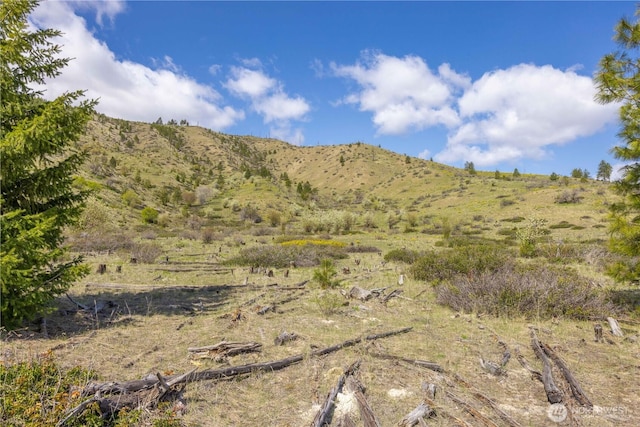 1 Bear Mountain Rd, Chelan, WA 98816