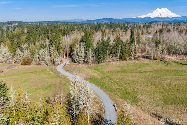 bird's eye view of a mountain backdrop and a heavily wooded area