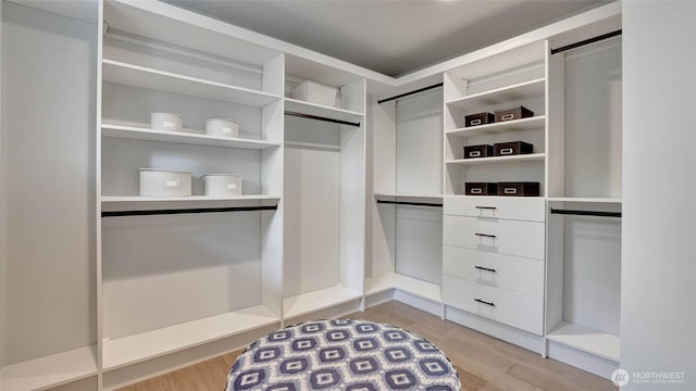 walk in closet featuring light wood-style floors