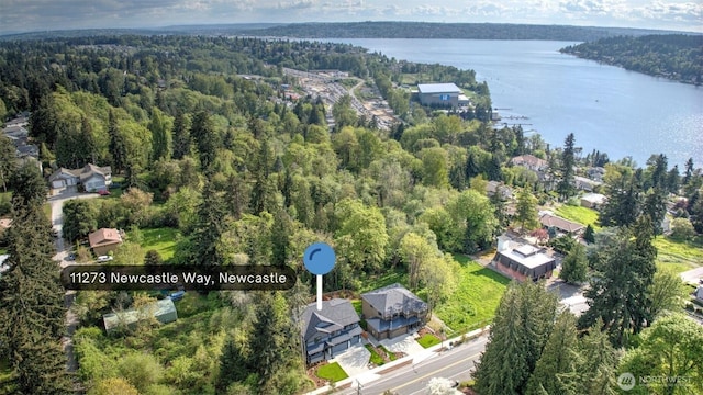 bird's eye view of a heavily wooded area and a nearby body of water