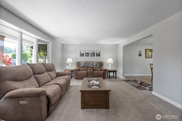 2505 Angela St SE, Lacey, WA 98503 - carpeted living room with a textured ceiling and baseboards