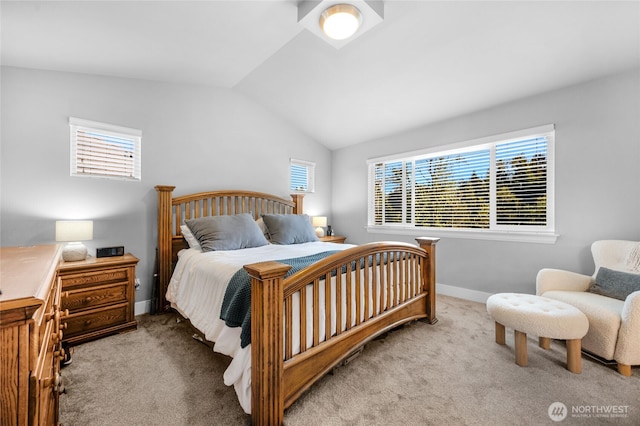 2226 Cady Dr, Snohomish, WA 98290 - photo 16