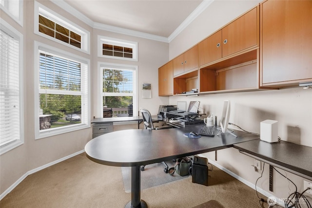 1401 241st St SE, Bothell, WA 98021 - office area featuring ornamental molding, carpet flooring, and baseboards
