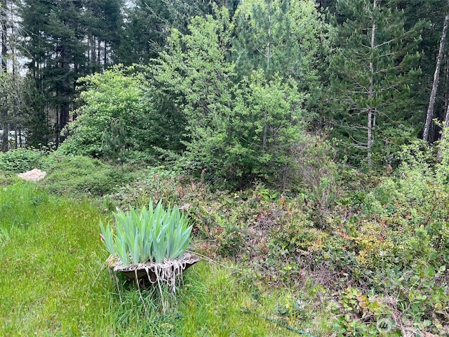 200 NE Tee Lake Pines Rd, Tahuya, WA 98588 - view of yard with a wooded view
