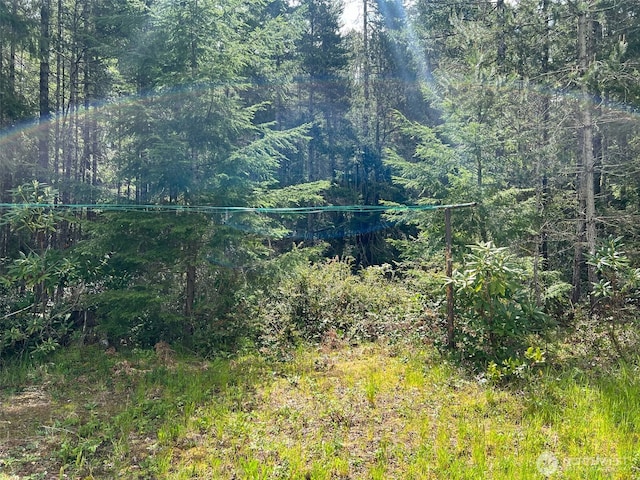 200 NE Tee Lake Pines Rd, Tahuya, WA 98588 - view of woods