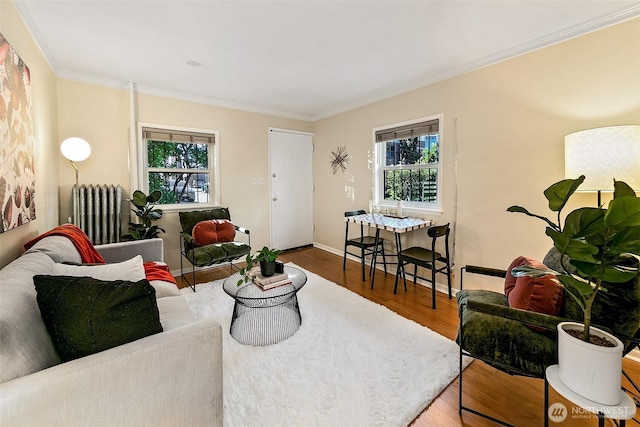 516 E Thomas St Unit 105, Seattle, WA 98102 - living area with radiator heating unit, ornamental molding, wood finished floors, and baseboards
