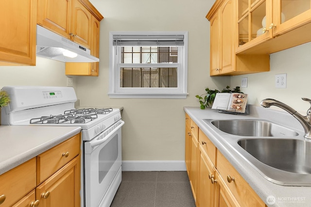 516 E Thomas St Unit 105, Seattle, WA 98102 - kitchen with gas range gas stove, under cabinet range hood, a sink, light countertops, and baseboards