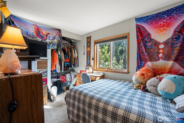 412 Algona Blvd S, Algona, WA 98001 - carpeted bedroom featuring a closet
