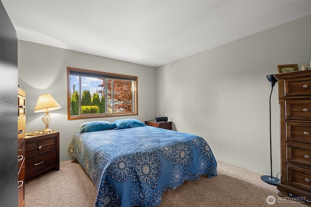 412 Algona Blvd S, Algona, WA 98001 - view of carpeted bedroom