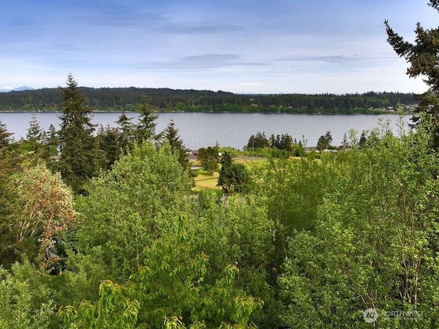 0 S Par Dr, Freeland, WA 98249 - photo 4